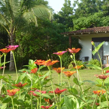 La Rosa De Los Vientos Bed and Breakfast Pedasi Town Esterno foto