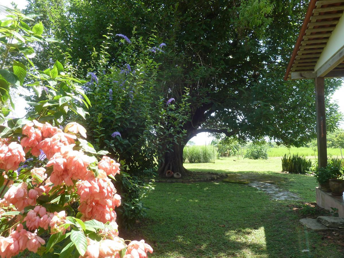 La Rosa De Los Vientos Bed and Breakfast Pedasi Town Esterno foto