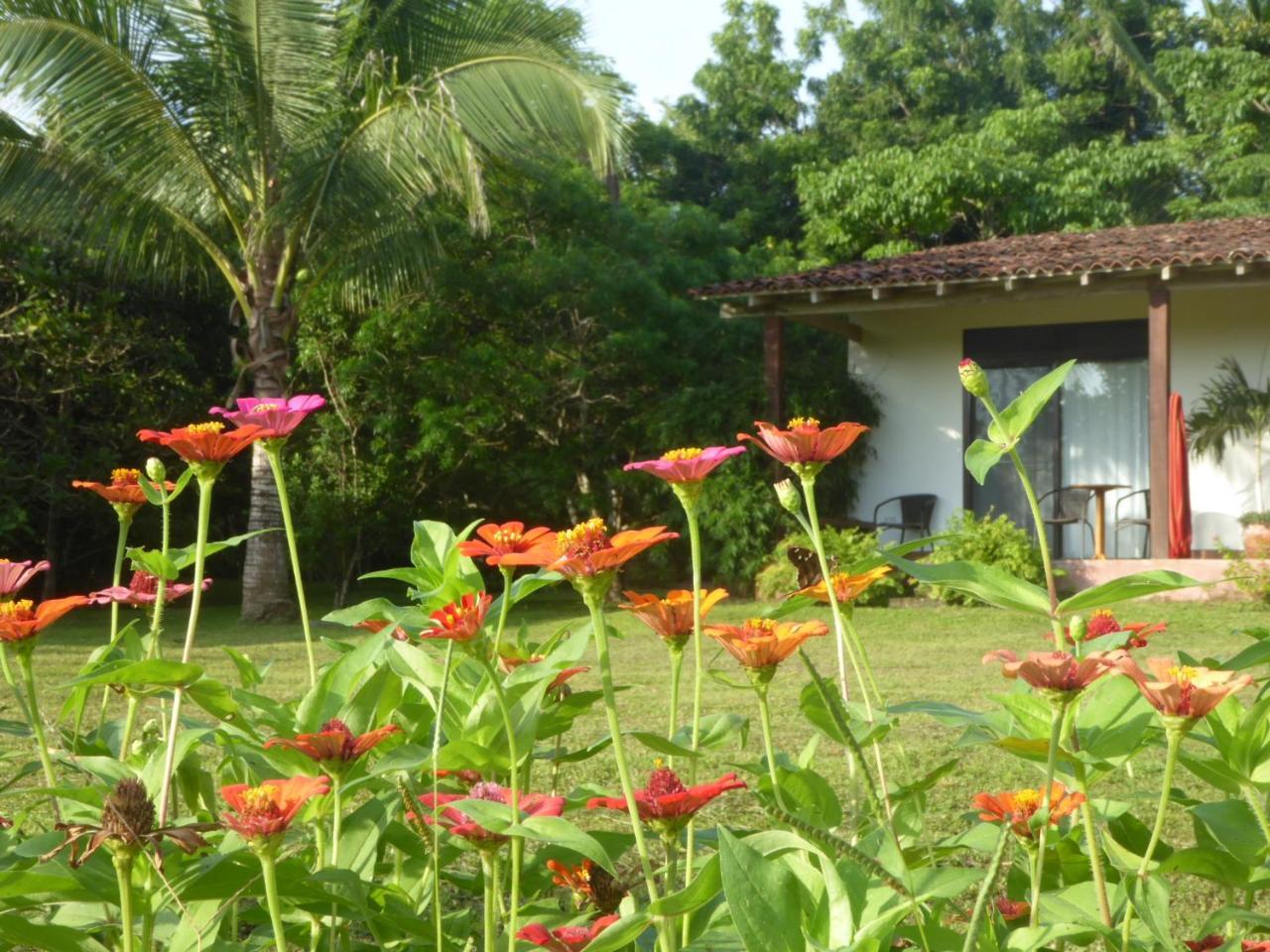 La Rosa De Los Vientos Bed and Breakfast Pedasi Town Esterno foto